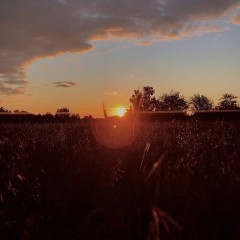 Wynajem domku holenderskiego