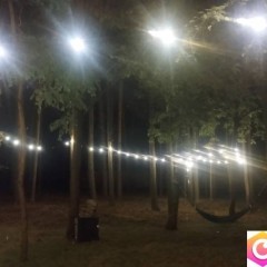 Wolny domek w lesie w Wieliszewie pod Warszawą