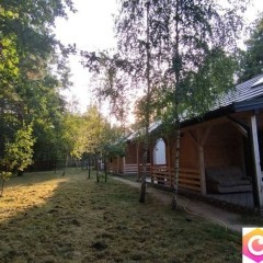 Wolny domek w lesie w Wieliszewie pod Warszawą