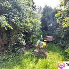 Do wynajęcia dom na cele biurowe