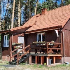 Wynajmę domek w Jabłonowcu(5km Farma Iluzji)dla4 osób-las ci