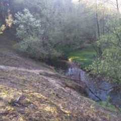 Wynajmę domek w Jabłonowcu(5km Farma Iluzji)dla4 osób-las ci
