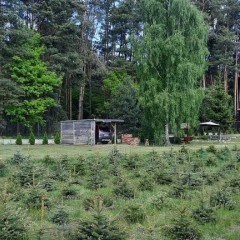 Wynajmę domek w Jabłonowcu(5km Farma Iluzji)dla4 osób-las ci