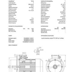 silnik elektryczny 9,2kW 2900obr. 3fazowy 132B5 OMT