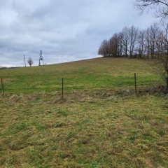 Dom na dużej działce do wynajęcia Gospodarstwo rolne