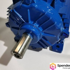 Prądnica trójfazowa wolnoobrotowa, generator 300W, 750obr