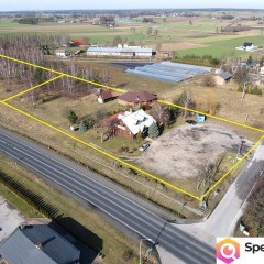 Oferta sprzedaży lokalu Wola Krzysztoporska 351m2