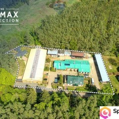 Doskonała okazja dla koniarzy i nie tylko!