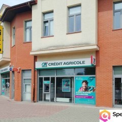 Ogłoszenie lokal 459m2 Zduńska Wola