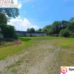 Hala/budynek usługowo-magazynowy z dużym placem.