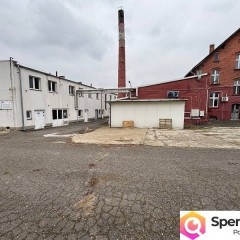 Syndyk sprzeda nieruchomość zabudowaną w Łambinowicach