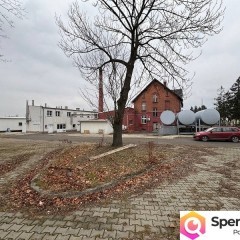 Syndyk sprzeda nieruchomość zabudowaną w Łambinowicach