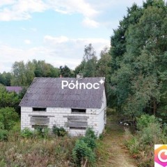 Siedlisko przy lesie, Oseredek gm. Susiec