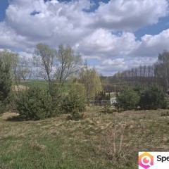 Sprzedam siedlisko z dużą działką w dolinie rzeki Giełczwi.