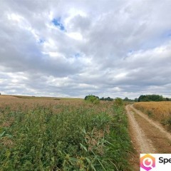 Oferta sprzedaży domu 57m2 Ożarów