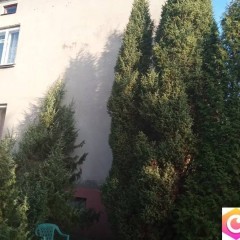 Dom 100 m² z dużą działką