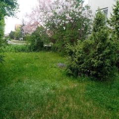 Dom 100 m² z dużą działką