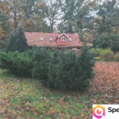 Syndyk sprzeda udział 3/4 własności nieruchomości (Jabłoniec)