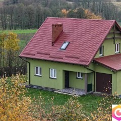 Sprzedam Dom blisko lasu na wsi.