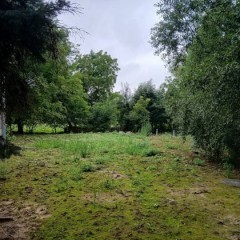 Dom wolnostojący - Ostrówek
