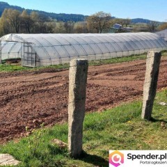 sprzedam gospodarstwo rolne