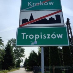 Oferta sprzedaży domu bliźniaka Tropiszów 288.51m2
