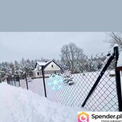 Dom pod lasem z szeroką i długą dzałką 60m na 100