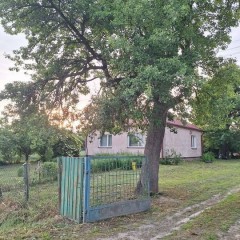 Dom z dużą działką, siedlisko