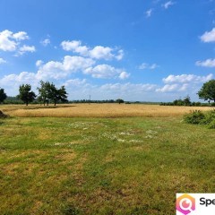 Dom 226m2 + działka MRj 1,1469 ha zabudowana rolna + 200m2 garaż i bud.gosp