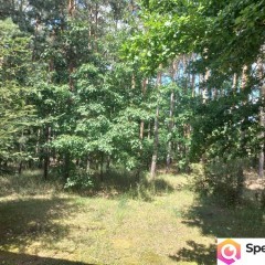Sprzedam dom 145 m2 na działce o powierzchni 4693 m2