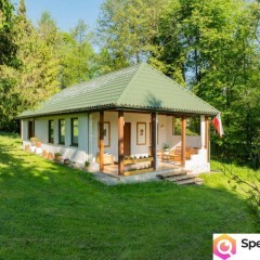 Klimatyczny dom wśród zieleni | 9700 m² | Chronów