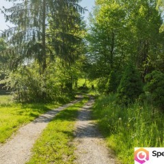 Klimatyczny dom wśród zieleni | 9700 m² | Chronów