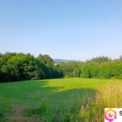 Siedlisko Pisarzowa prawie 5 ha