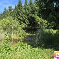 Drewniany dom przy linii brzegowej, 60 m2, Markusy