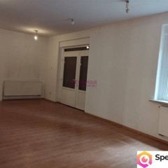 Dom wolnostojący Rybnik 280m2