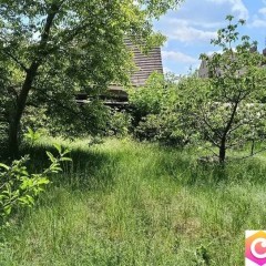 Sprzedam Dom z 2 Mieszkaniami i 2 Garażami, ul.Rajska,Zielona Góra