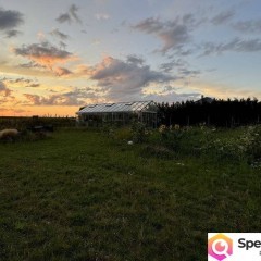 Oferta sprzedaży domu wolnostojącego 250m2 Chrząszczewo Krajobrazowa