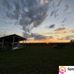 Oferta sprzedaży domu wolnostojącego 250m2 Chrząszczewo Krajobrazowa