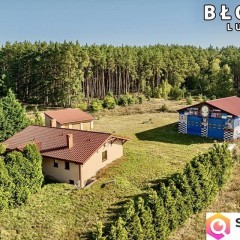 Dom parterowy, wysoka hala, garaże i pół hektara!