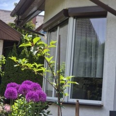 Sprzedam dom z ogrodem
