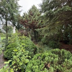 Sprzedam dom o powierzchni całkowitej 248 M2