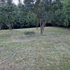 Duża działka 4600 m² z zabudowaniami.