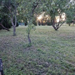 Duża działka 4600 m² z zabudowaniami.