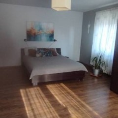 Siedlisko 2,19 ha dom 150m² ROZTOCZE ZACHODNIE