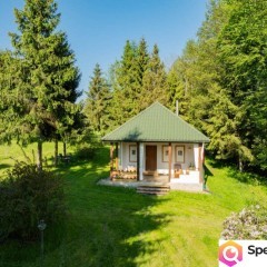Klimatyczny dom wśród zieleni | 9700 m² | Chronów