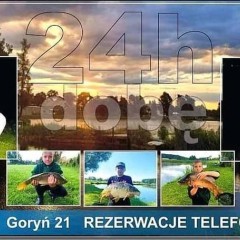 domki letniskowe, łowisko, imprezy okolicznościowe
