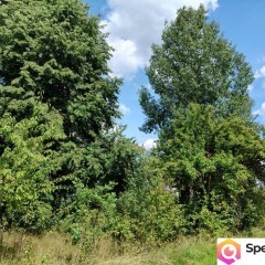 3223m2 + WZ na dwa domy! Słynny zalew Sielpia Wielka zwana świętokrzyską I…
