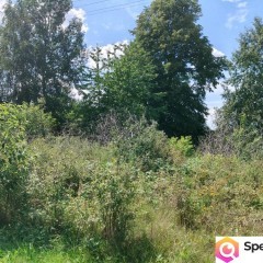 3223m2 + WZ na dwa domy! Słynny zalew Sielpia Wielka zwana świętokrzyską I…