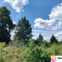3223m2 + WZ na dwa domy! Słynny zalew Sielpia Wielka zwana świętokrzyską I…