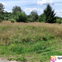 3223m2 + WZ na dwa domy! Słynny zalew Sielpia Wielka zwana świętokrzyską I…
